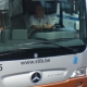 Brussels transport companies STIB, Busses