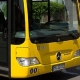 Mülheimer Verkehrsgesellschaft MVG, Busses