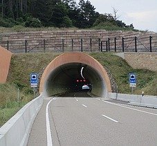 Picture of the tunnel entrance to the Spitzenberg tunnel 