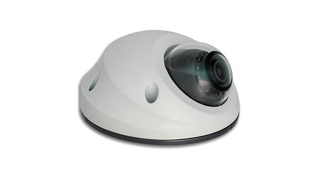 The picture shows a fish-eye video camera in a round housing